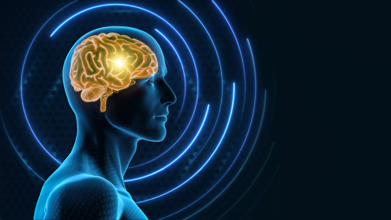 Tudod már, mit vegyél karácsonyra a hippokampuszodnak? Egy kerékpárt! 