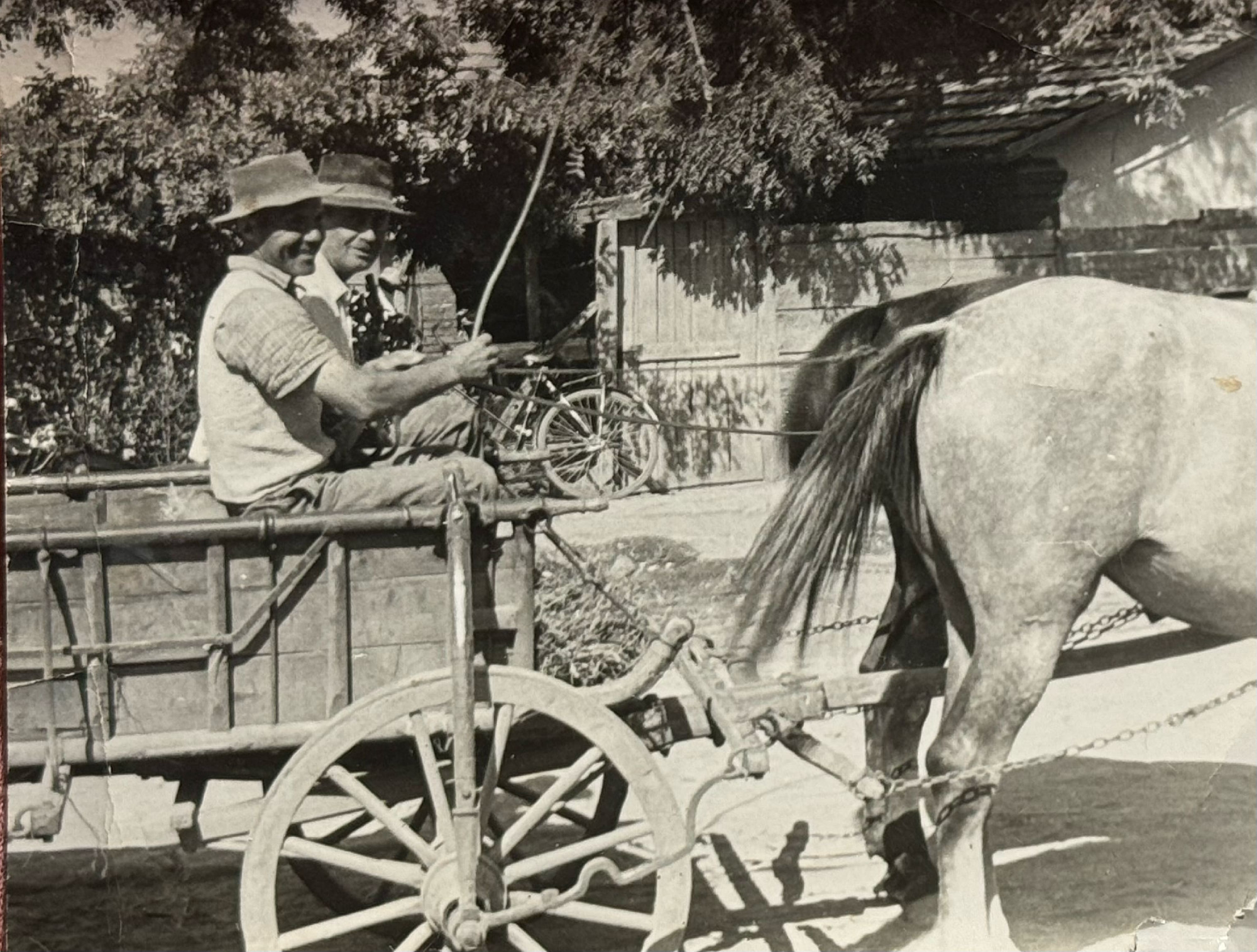 B. Nagy Károly élettörténete