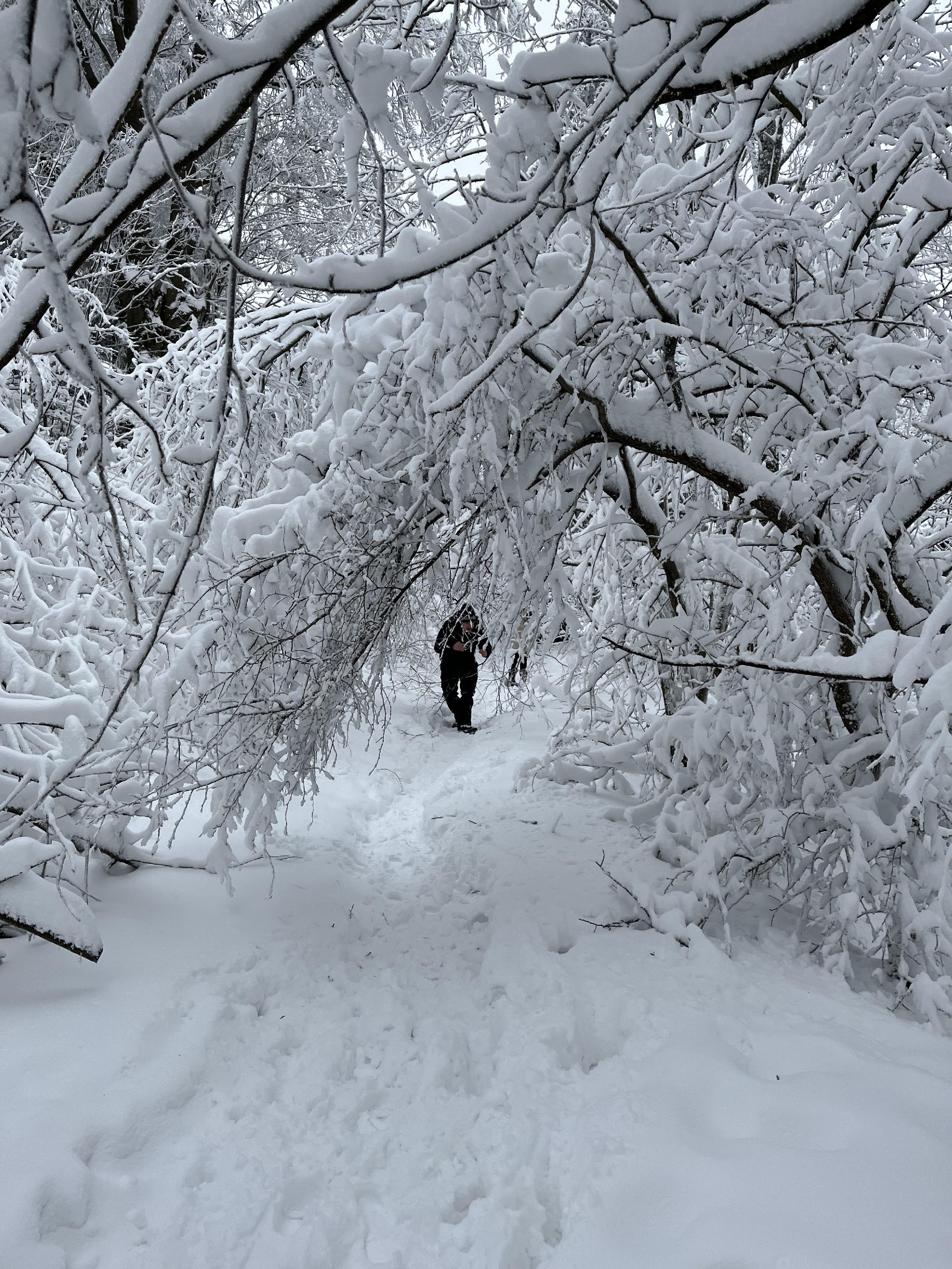 Hogy télen is biztonságos, felejthetetlen élmény legyen a természetjárás 