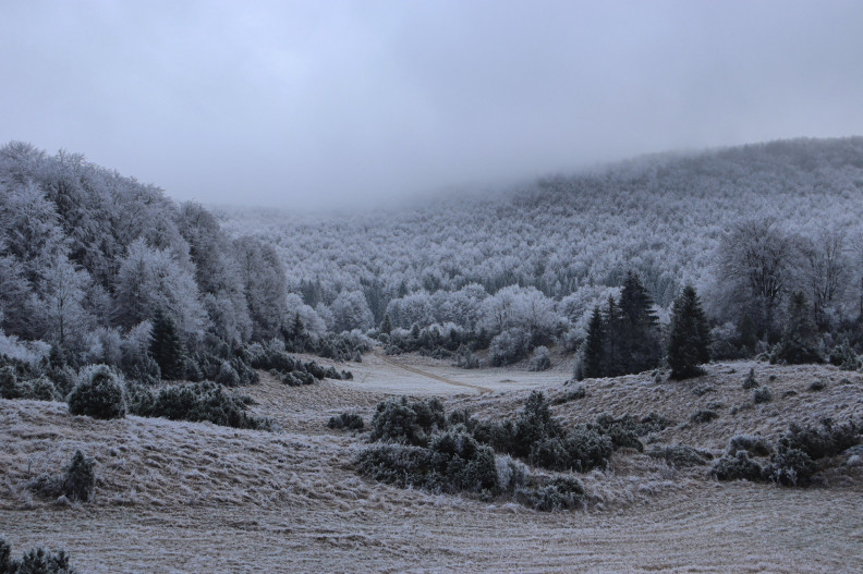 Aktív Magyarország kvíz