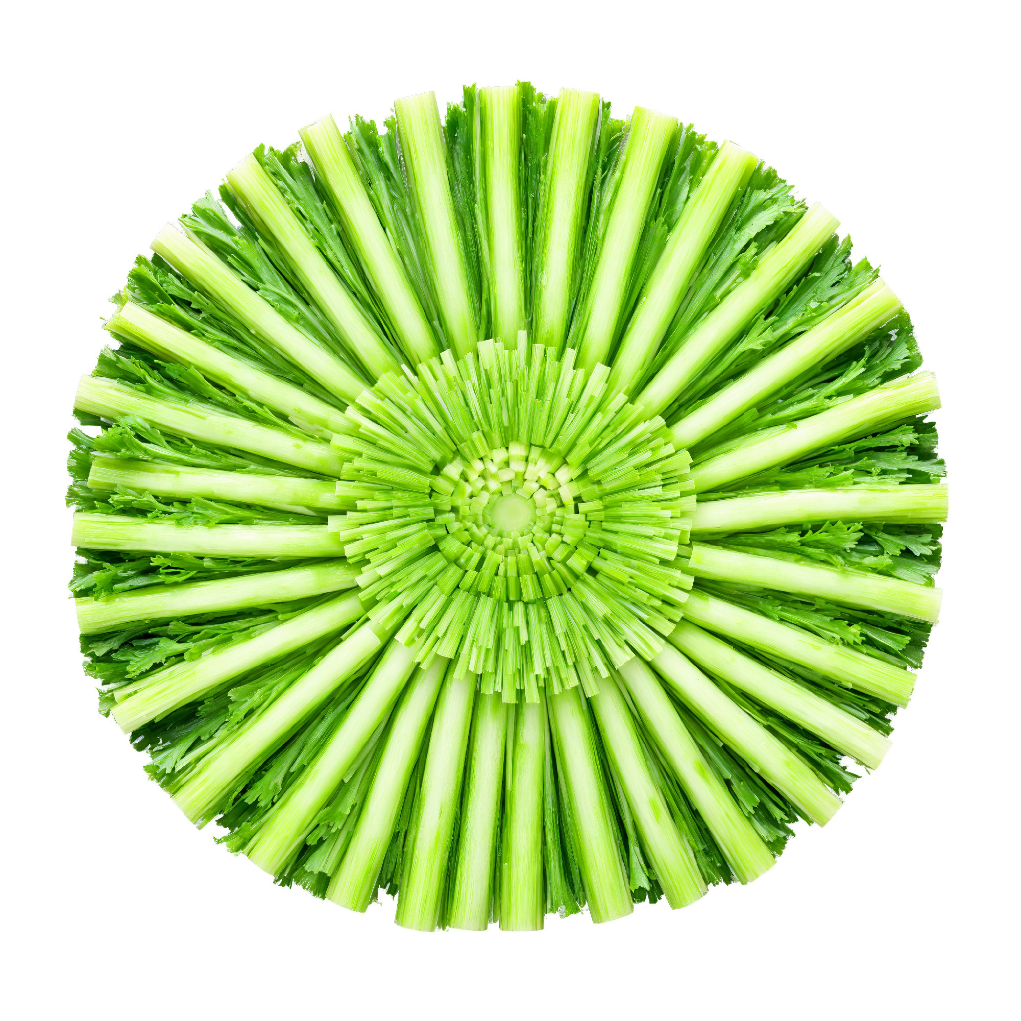 Celery Stick Mandala crisp green celery sticks radiating outward in a striking circular composition leaves -1
