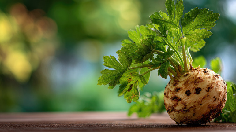 Fedezzük fel a zeller értékeit! 