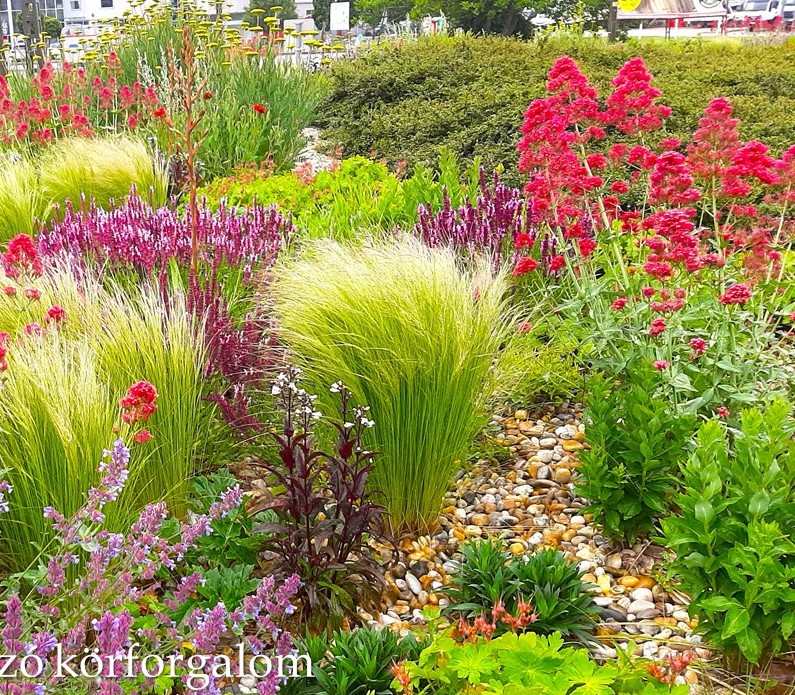 Négy évszakos látvány évelőkkel, fenntartható rózsatársítás, gazdag ökoszisztéma