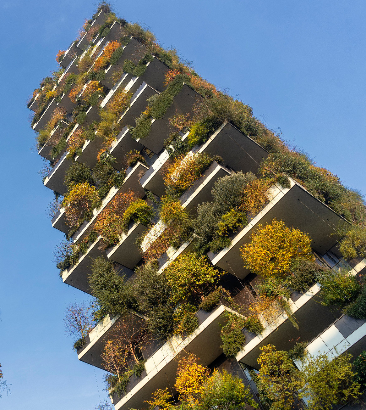 A függőleges kertészkedés innovációi