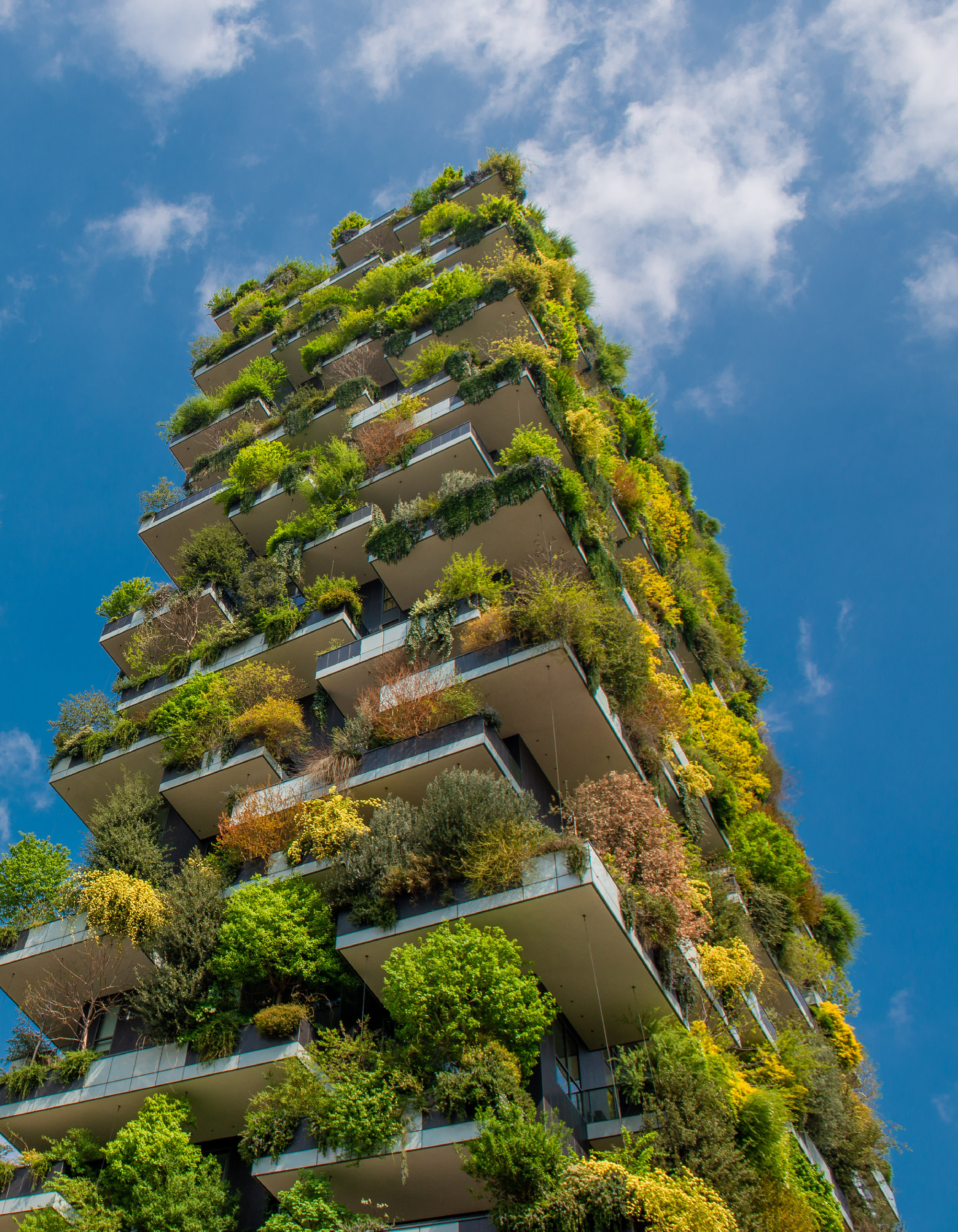 Milan vertical forest