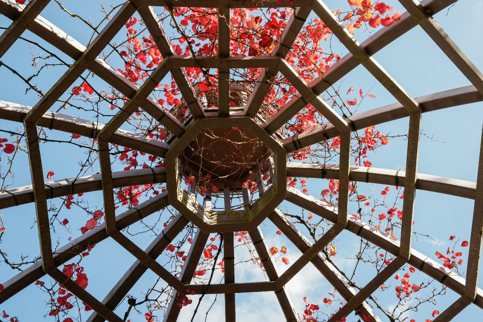 Hemispheric garden dome frame