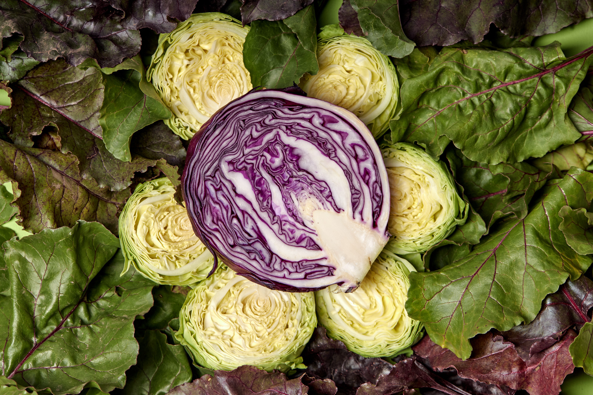 sliced red cabbage from top. Close up of afresh purple color cabbage
