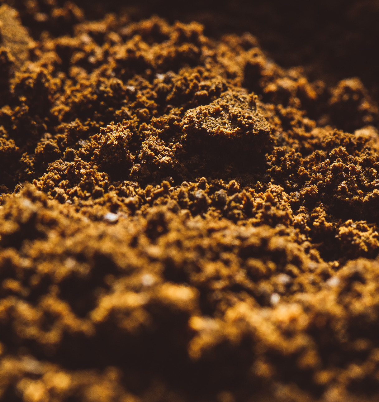 Milyen talajban él jól a kertünk? 