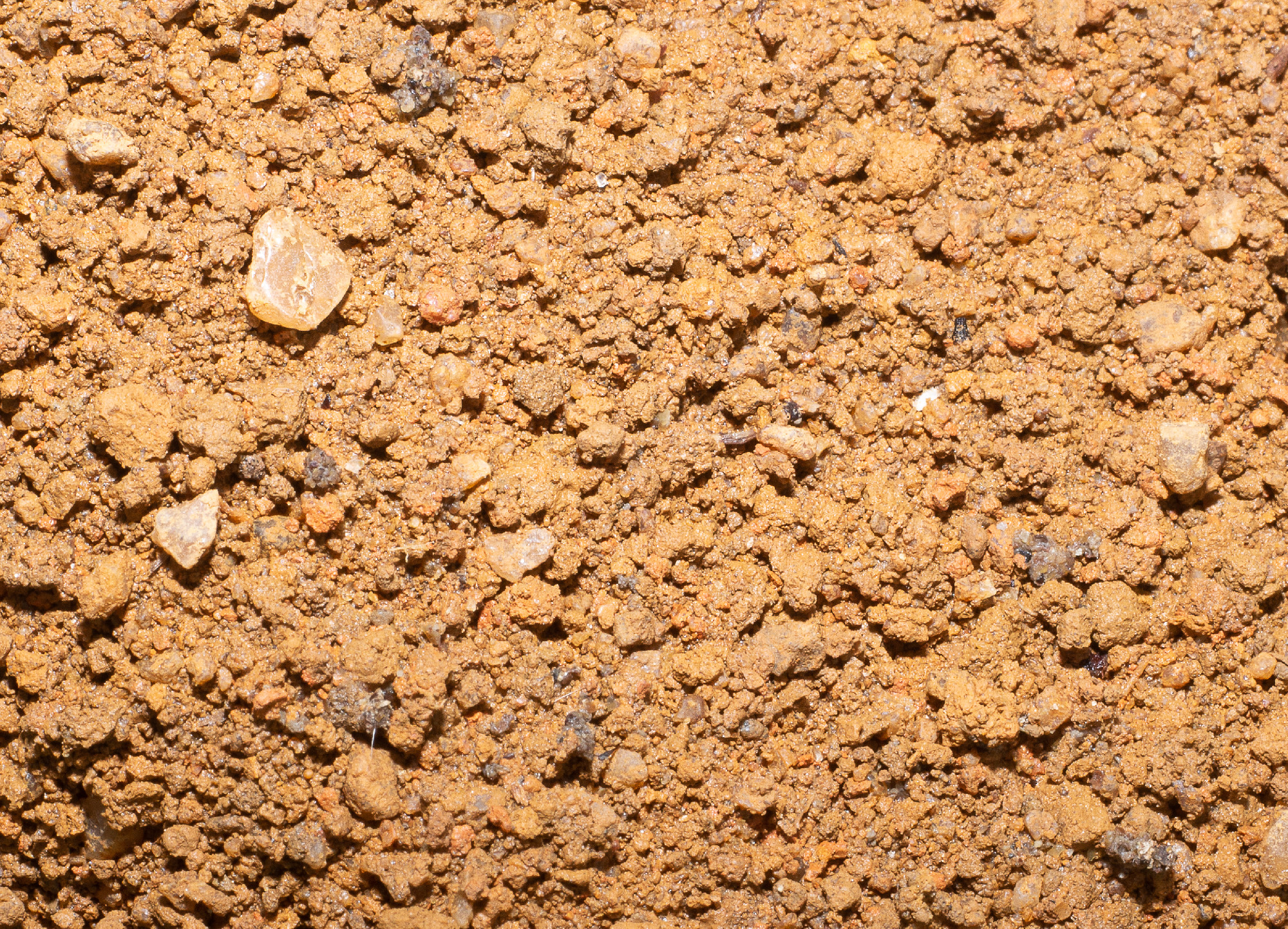 texture natural with brown color full of little rocks