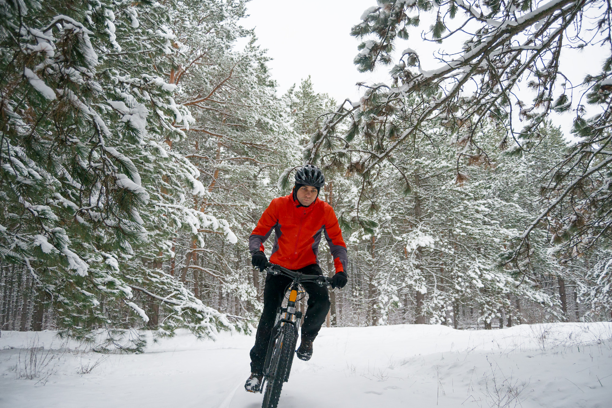 Cyclist in Red Riding Mountain Bike in Beautiful Winter Forest. Extreme Sport and Enduro Biking Concept.