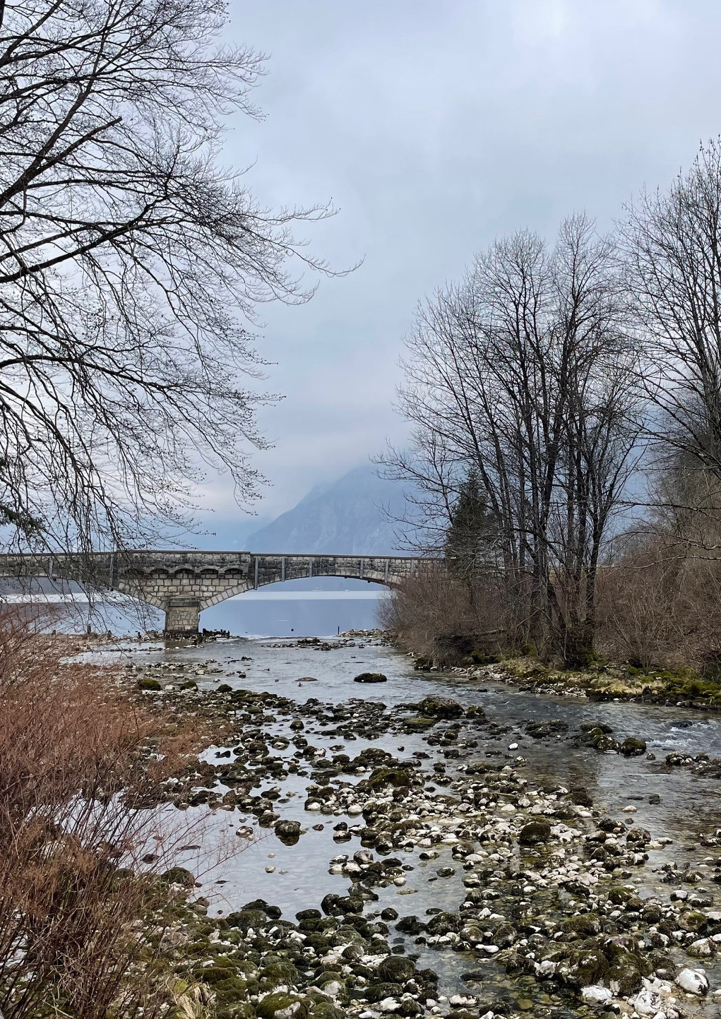 Tudod, hol születik a Száva?