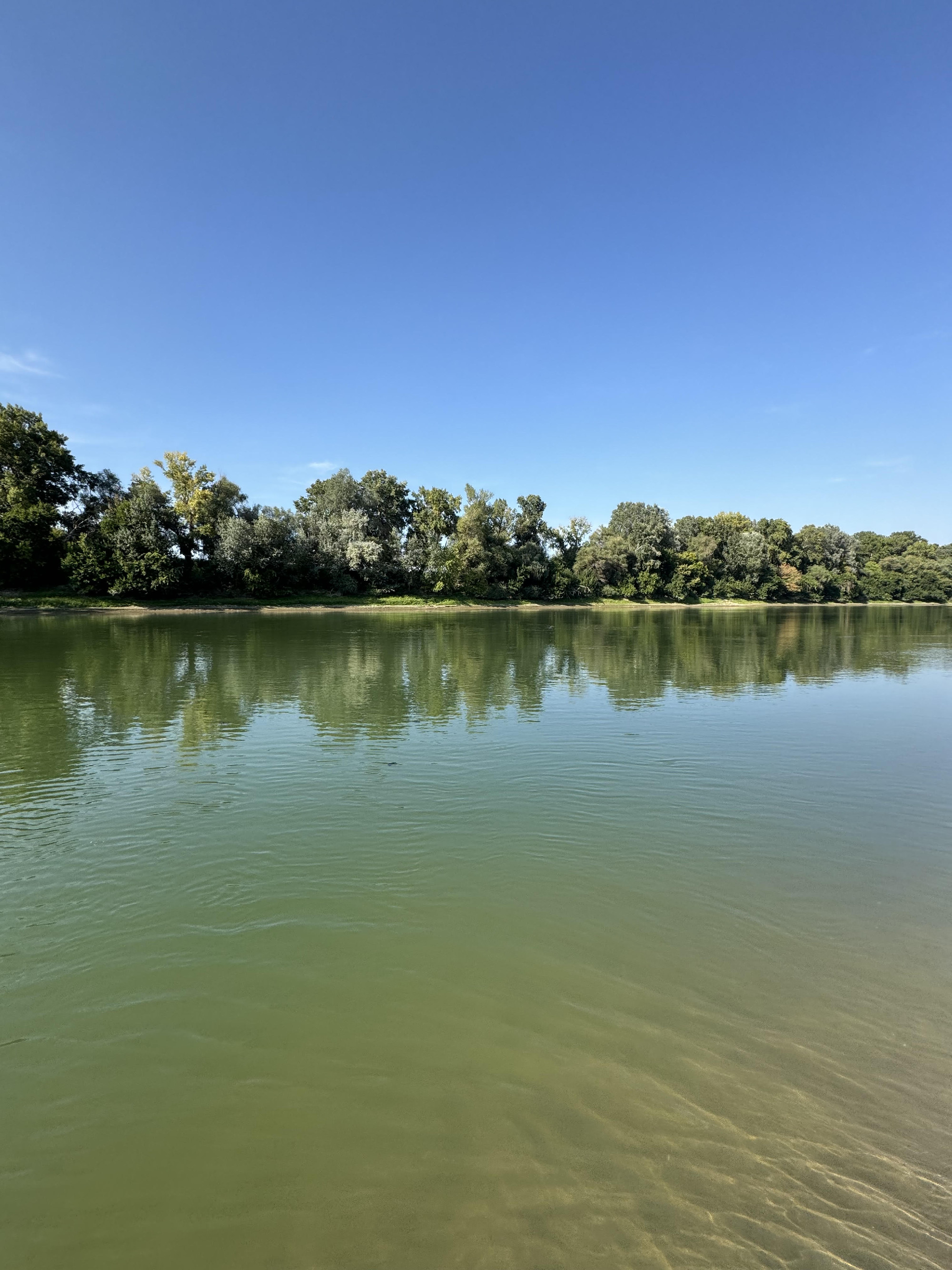 Tiszaföldvári barangolás