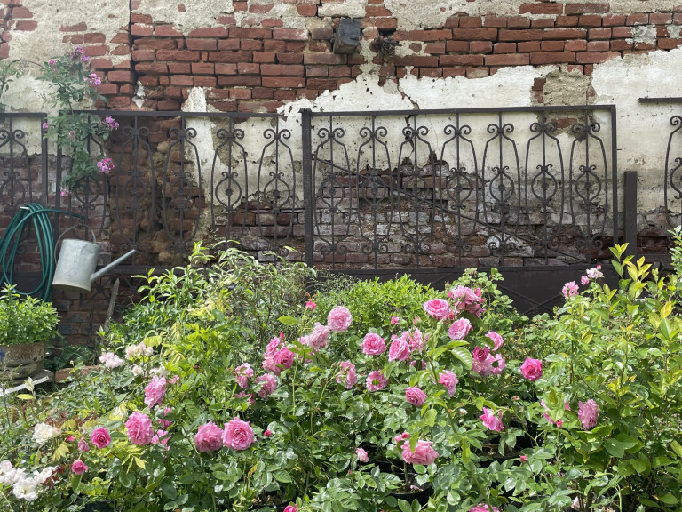 Agatha Bock egyszerűen csodálatos élete 