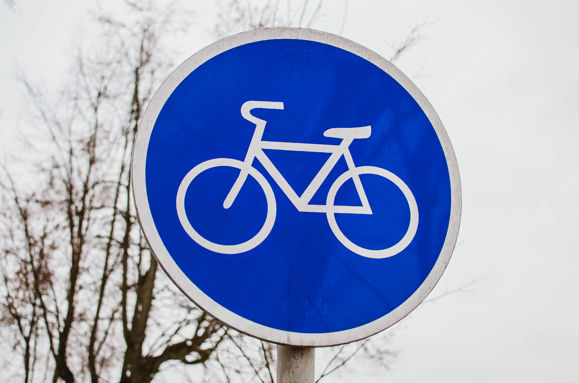 blue sign sign signing the boundary of the beginning of the cycling track