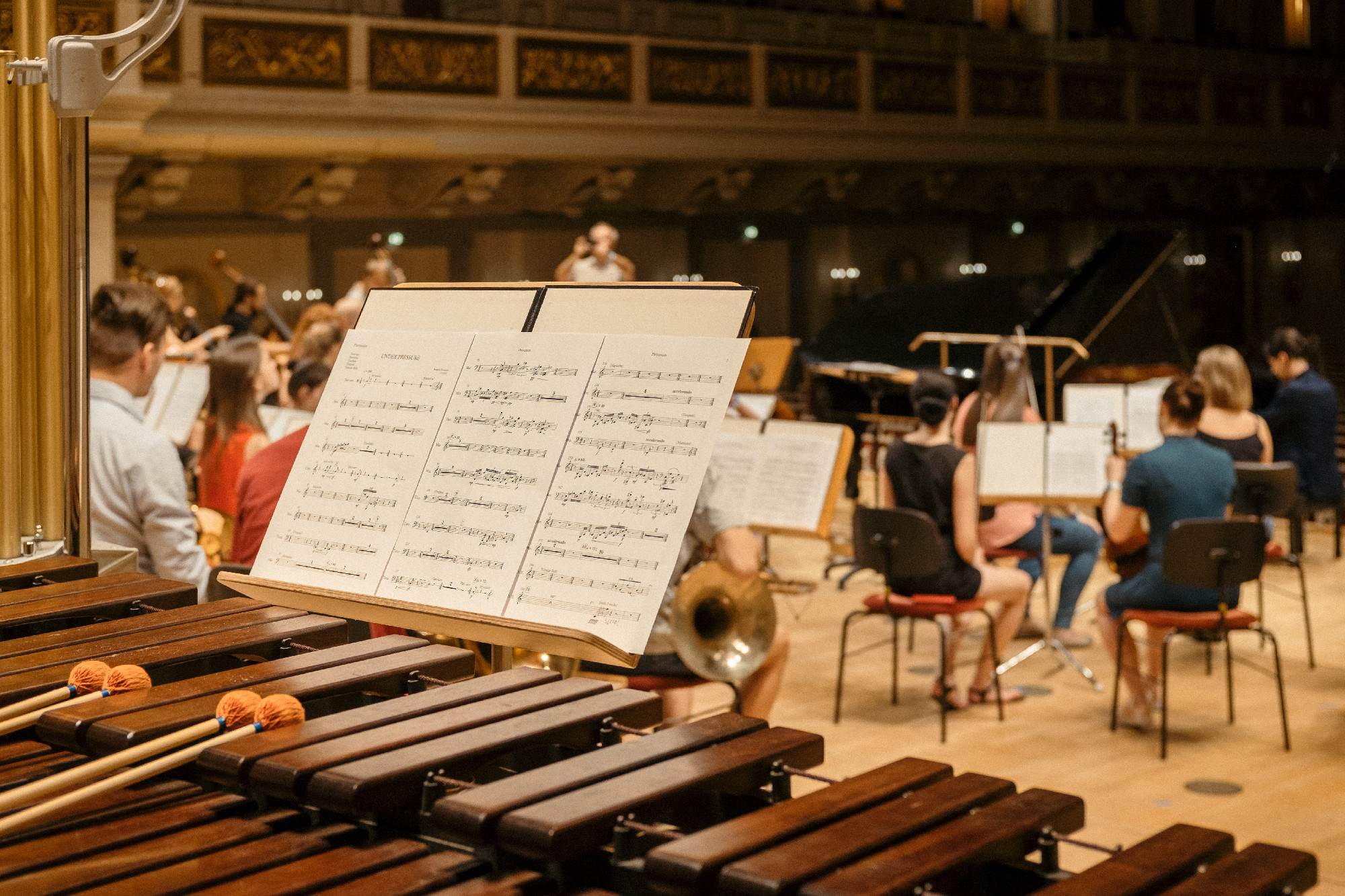 Selective focus shot of notes for the musician