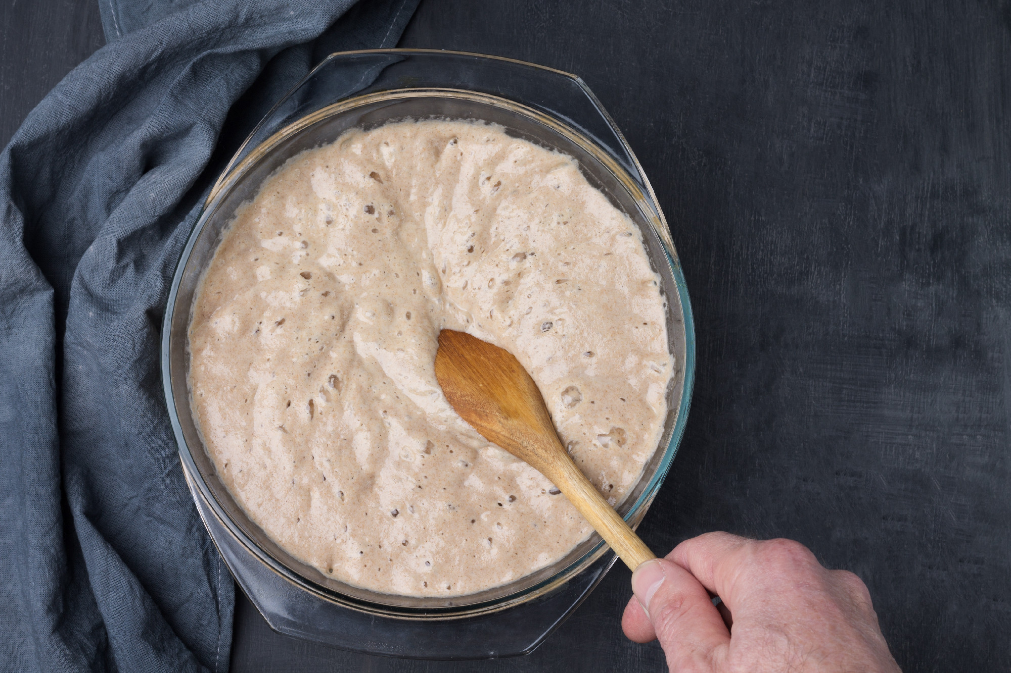 A man's hand checks the readiness of the homemade sourdough for making rye bread with a wooden spoon.
