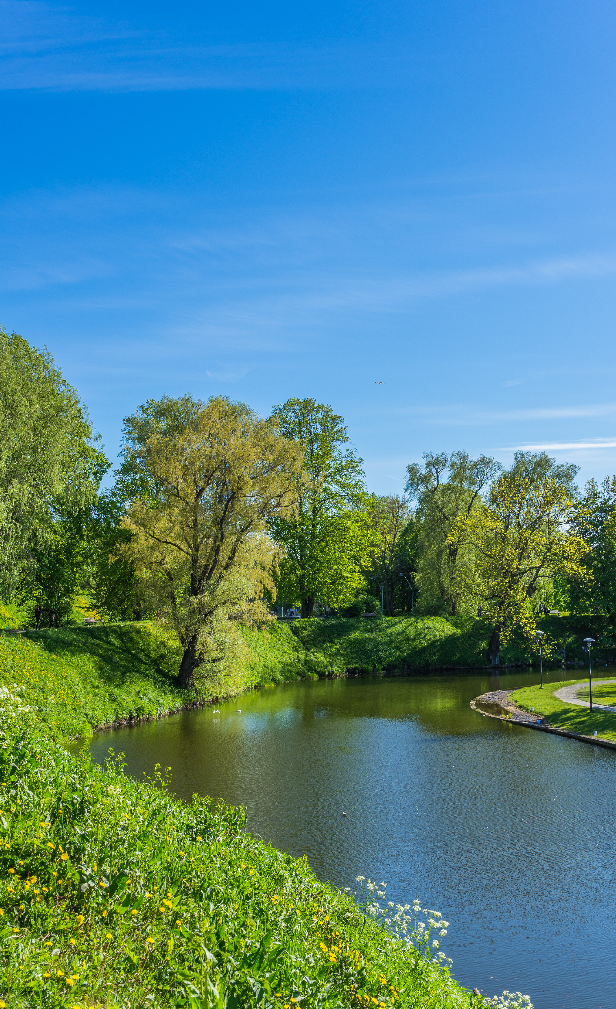 Beautiful park in the center of Tallinn