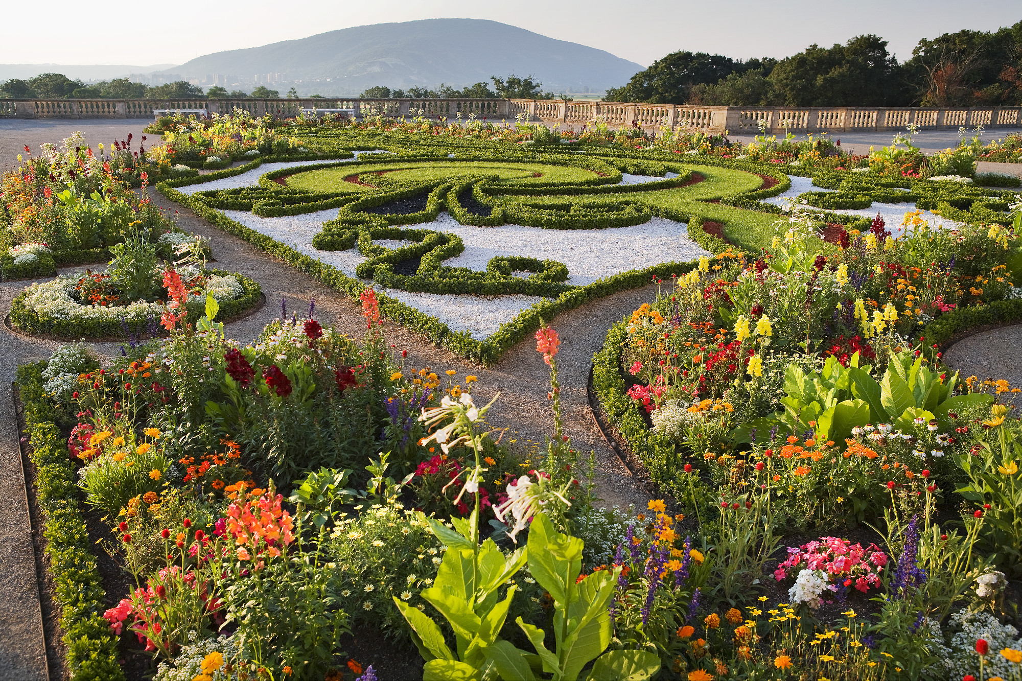 Kérdezz-felelek Schloss Hofról