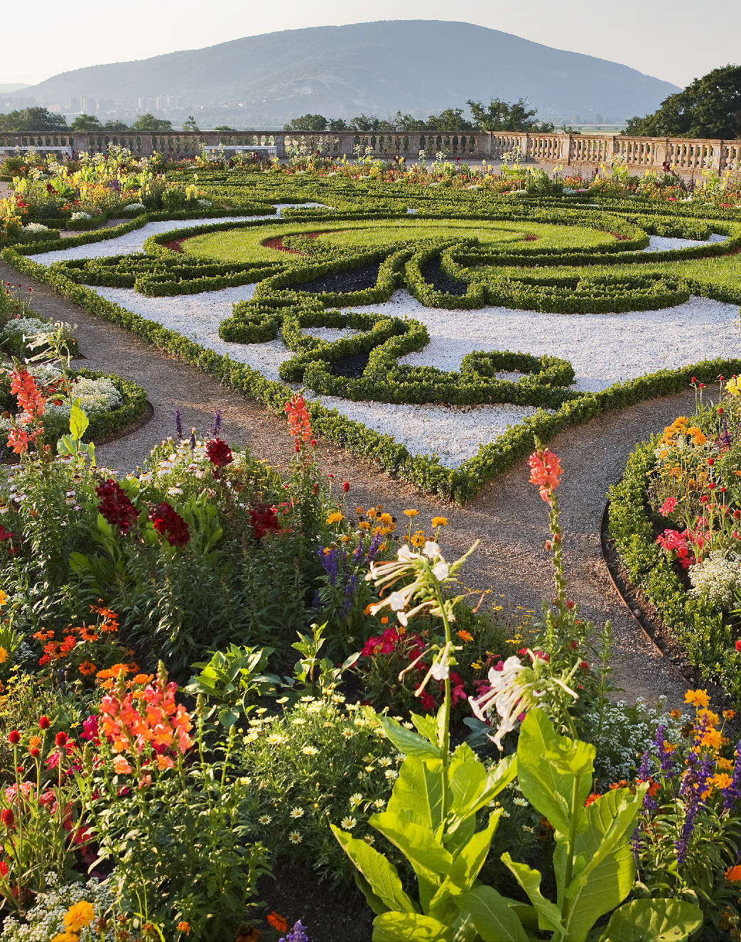 Kérdezz-felelek Schloss Hofról