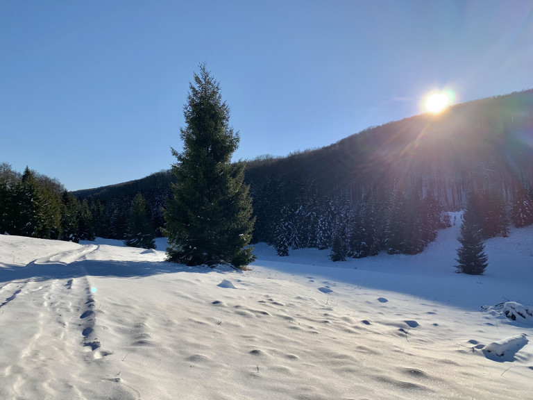 Hó alatt álmodó világ