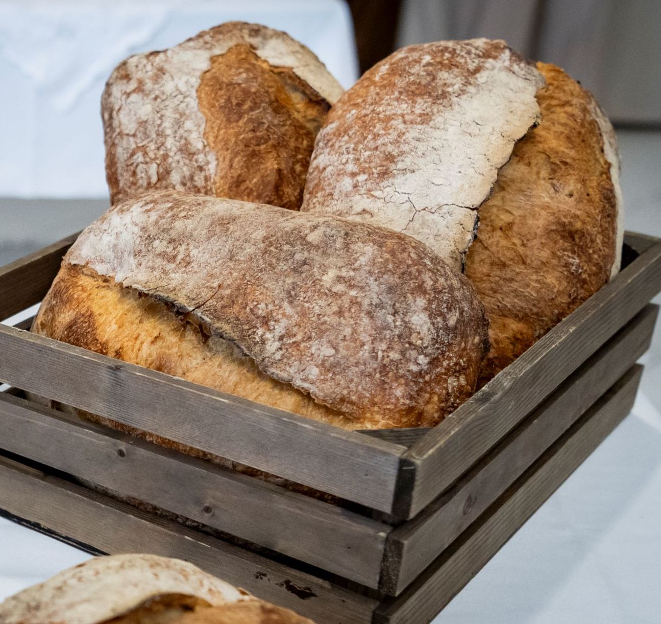 Rekord nevezésszám a XV. Szent István-napi Kenyérverseny első fordulóján