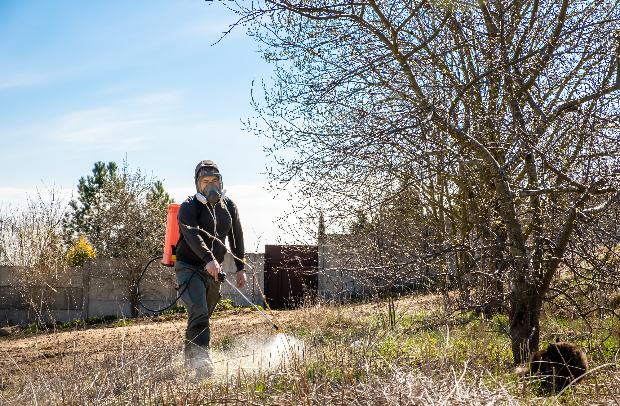 Farmer spraying pesticides and protects field from weeds and tick. Man with spray tank equipment. Tillage from ticks and insects. Springtime farm work. Dry grass. Water jet. Manual labor. Garden care