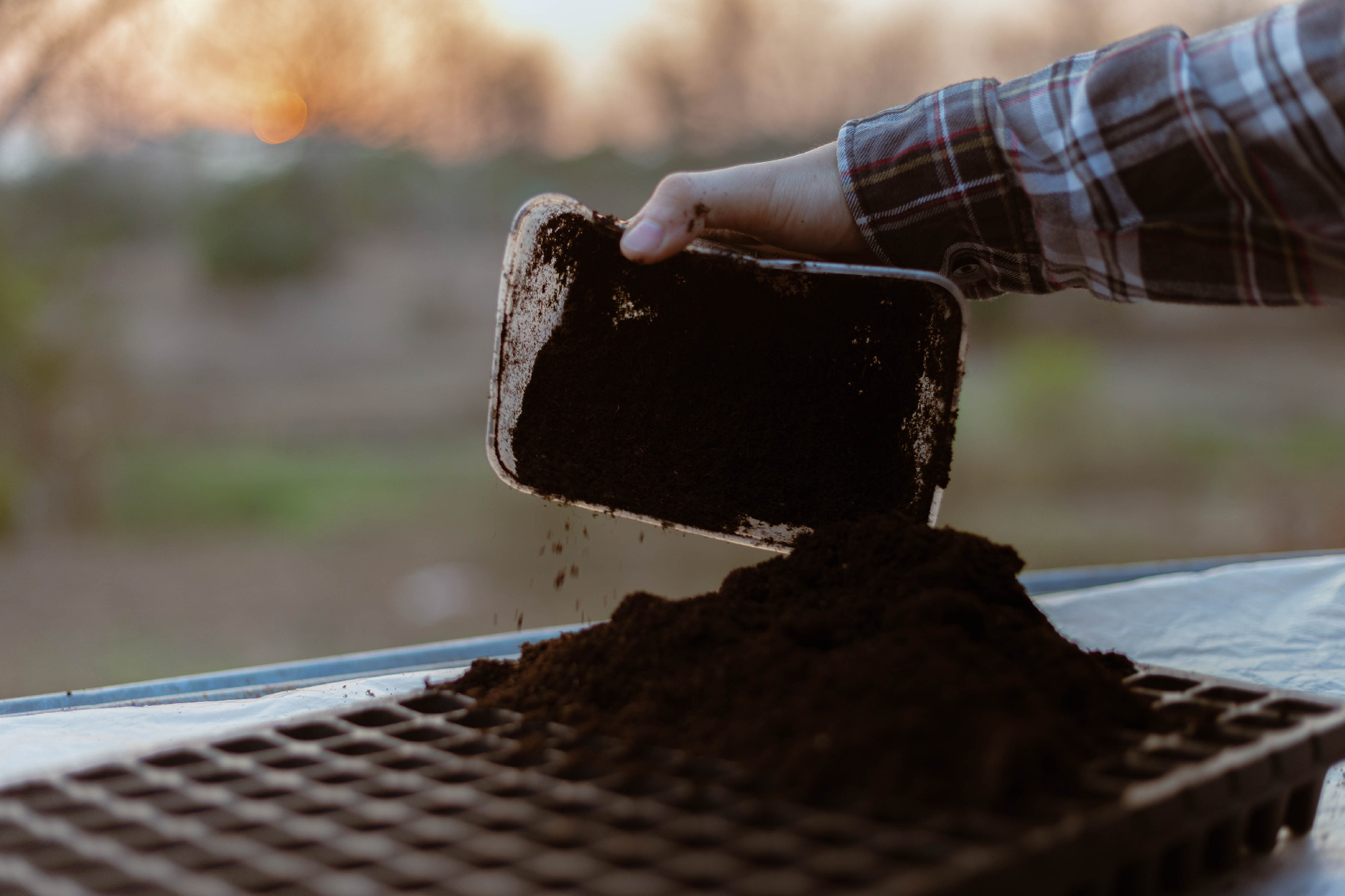 Gardening concept two hand of a gardener inserting rich black so