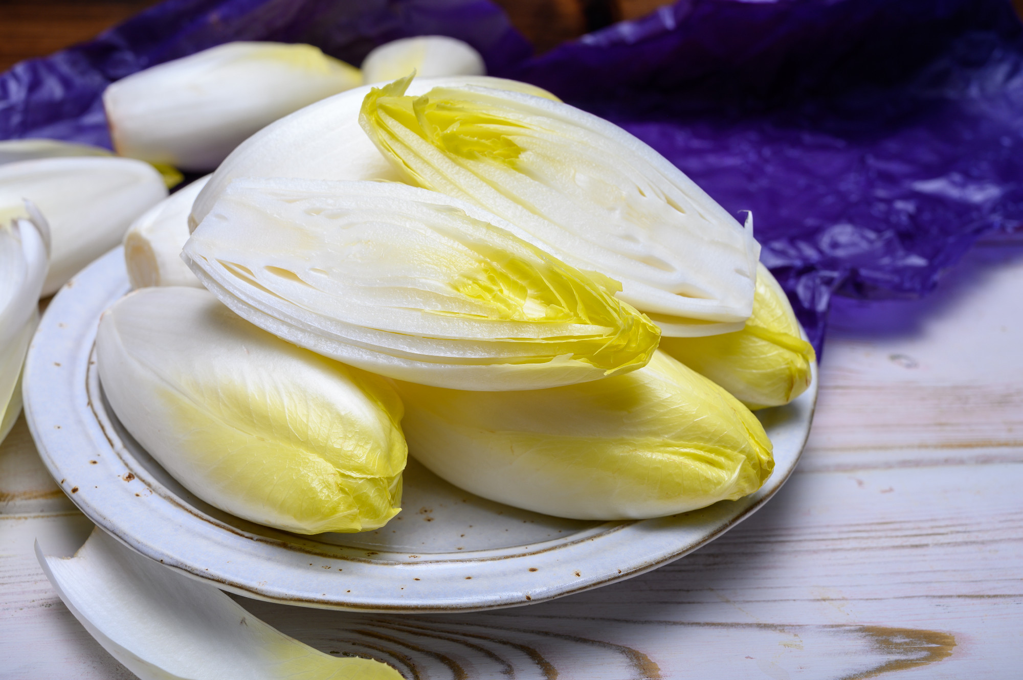 Fresh white belgian endive or chicory heads 