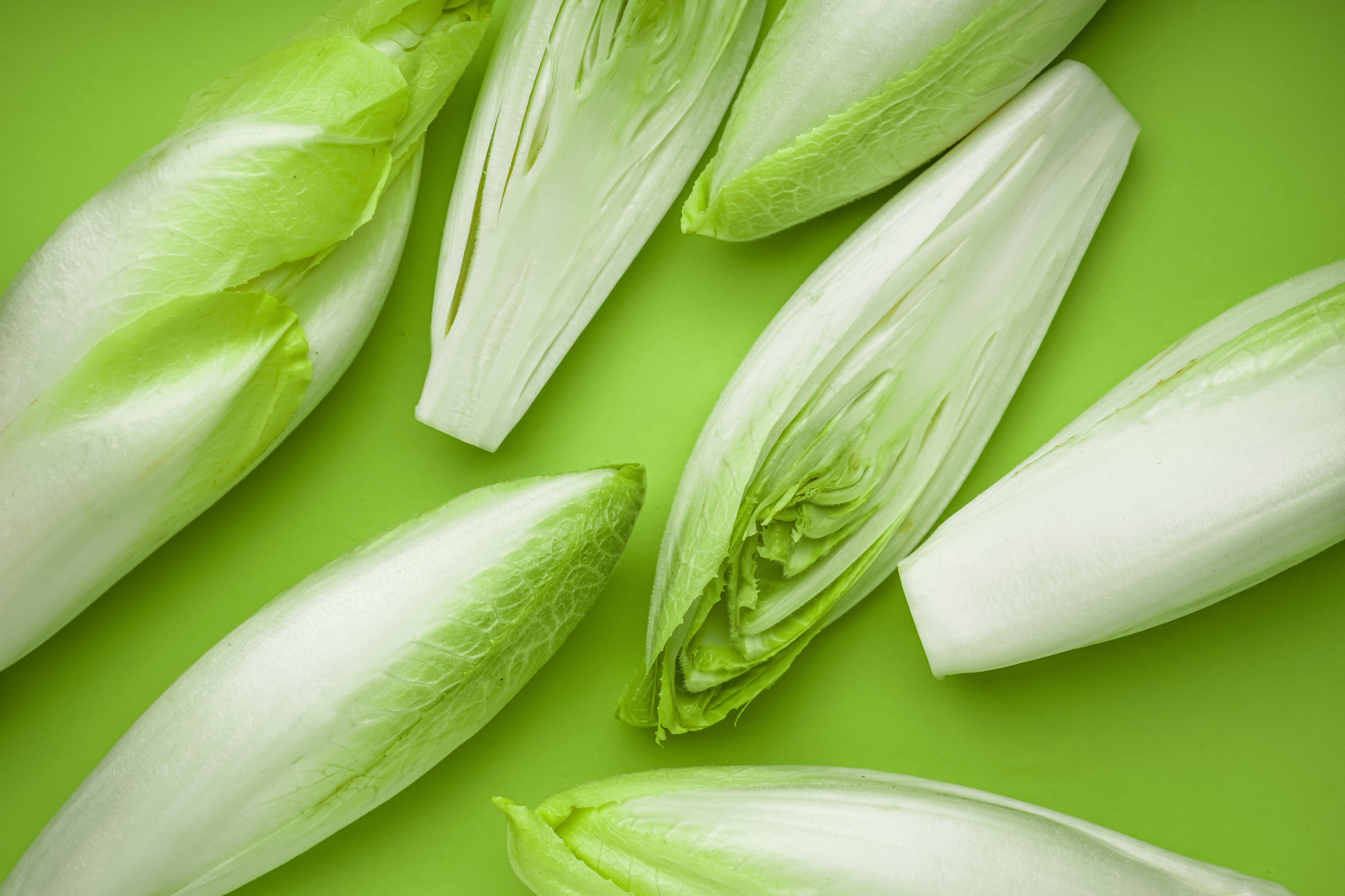 Bunches of fresh endive on green background�