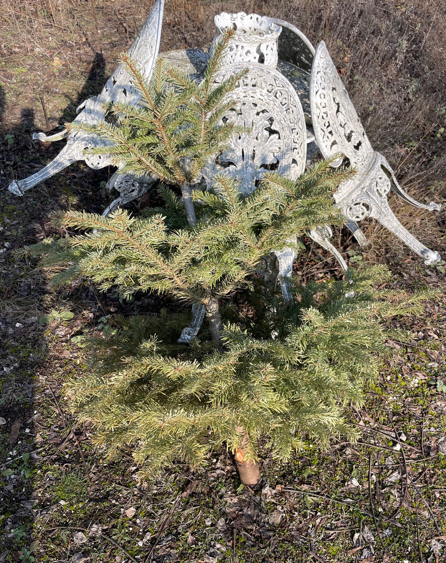 Tavaszi dekoráció természetes anyagokból