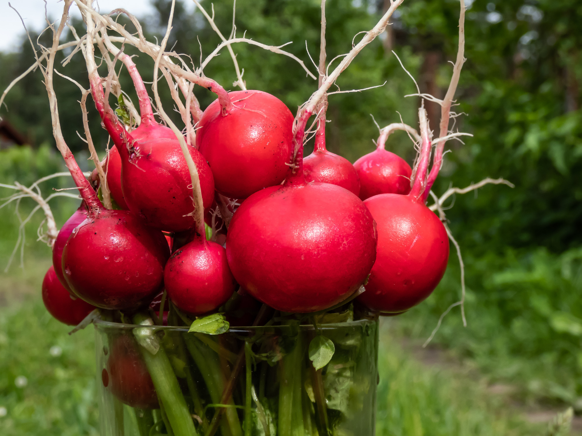 Ünnepeljük a hónapos retket!