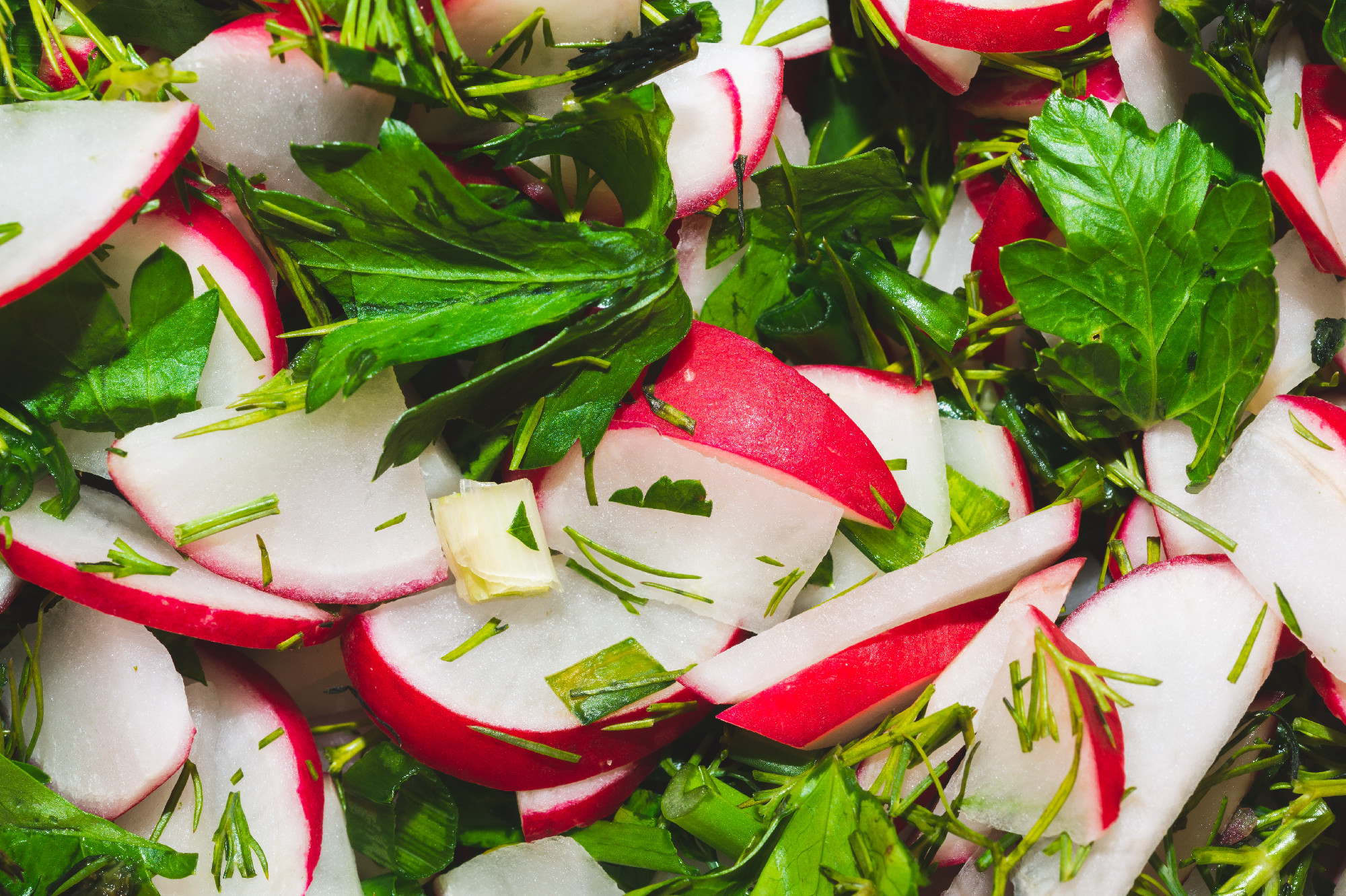 Spring salad with radish and greenery. healthy eating