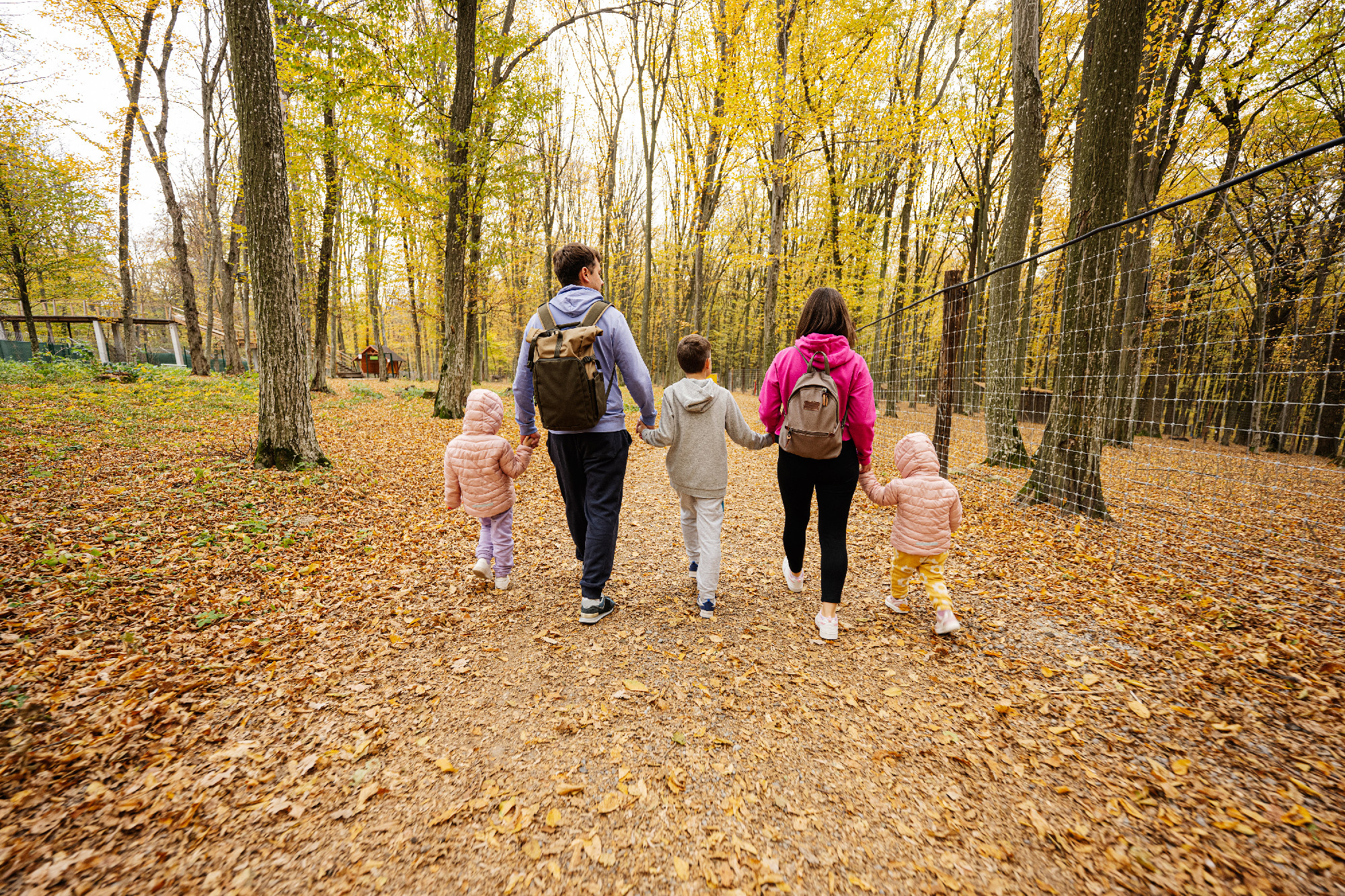 Back of family with kids on a walk in autumn forest.