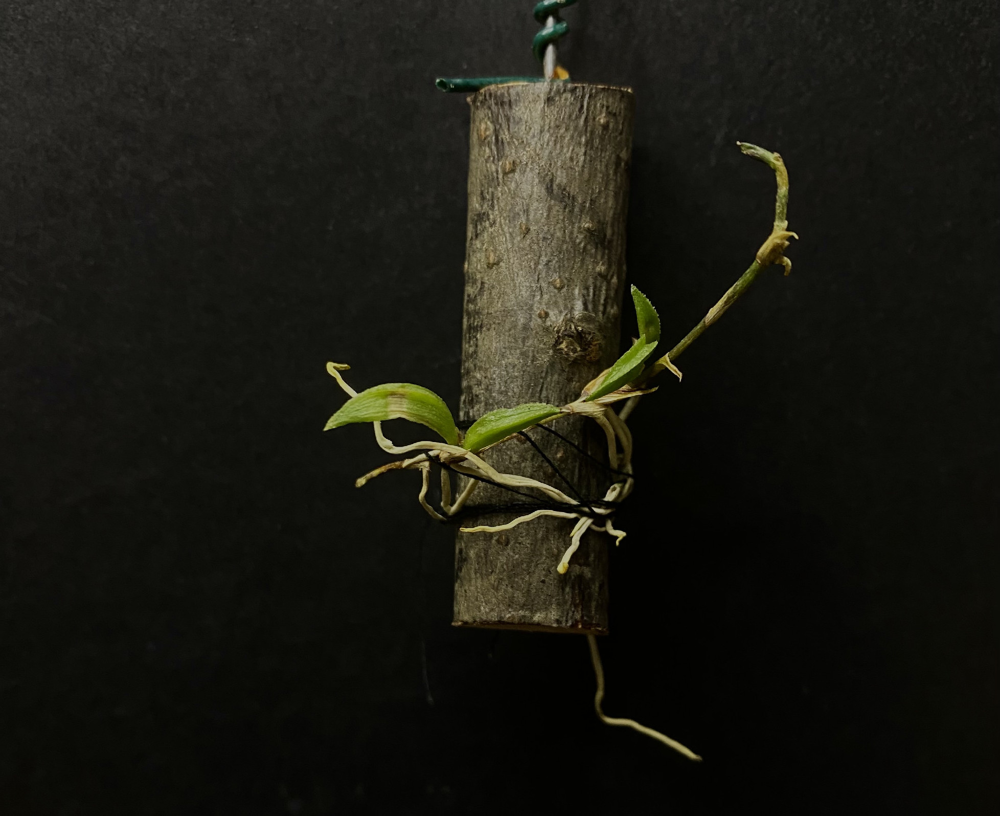 A természethez való kapcsolódás nem kor kérdése