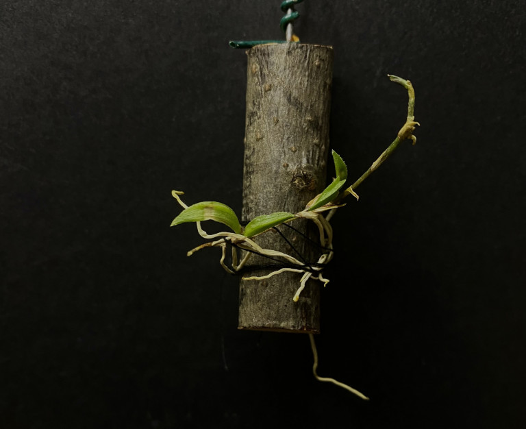 A természethez való kapcsolódás nem kor kérdése