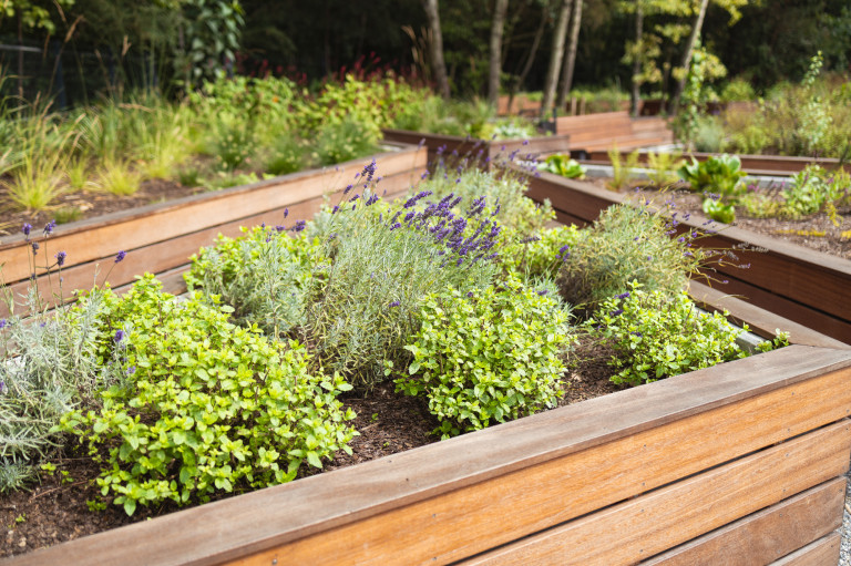 Magaságyás specifikus ültetési terv kertbarátoknak