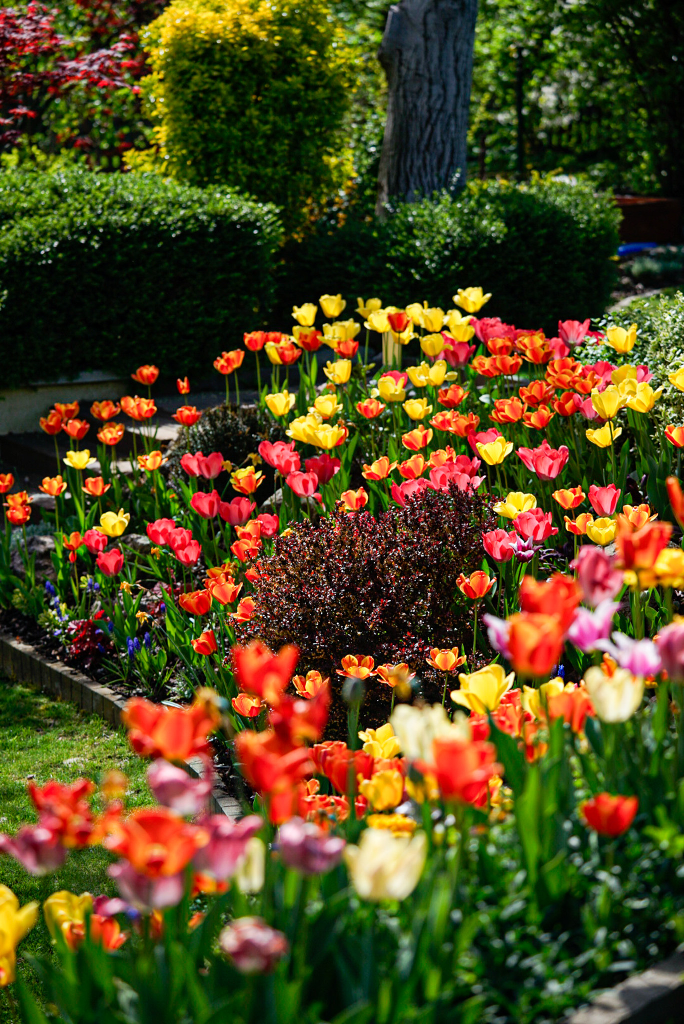 Receptre felírt kert Székesfehérváron