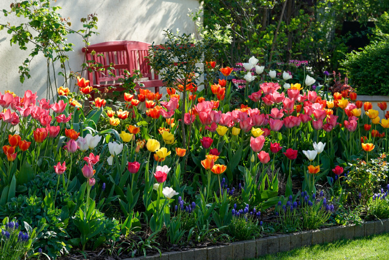 Receptre felírt kert Székesfehérváron