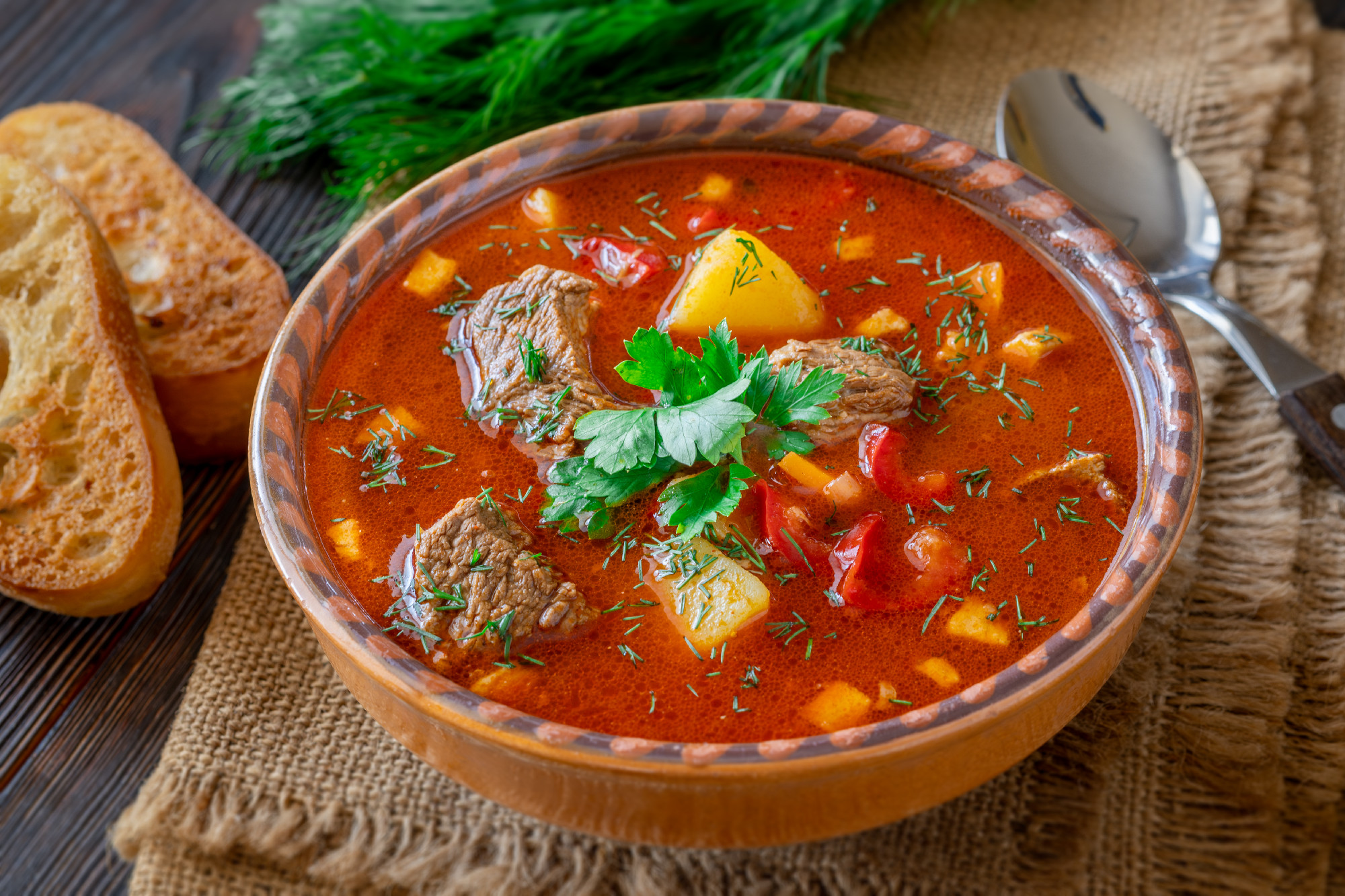 Traditional Bogracs stew garnished with parsley served with toas