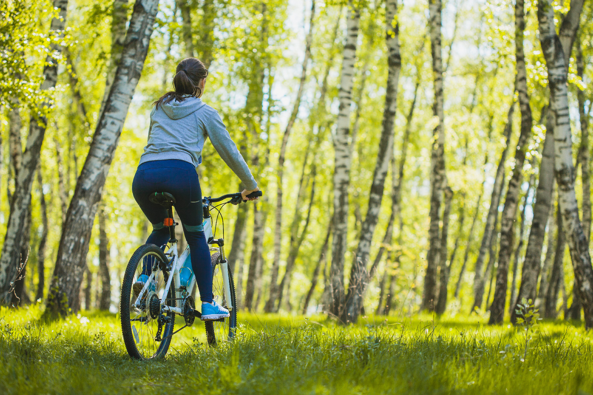 cyclist riding mountain bike in the birch forest