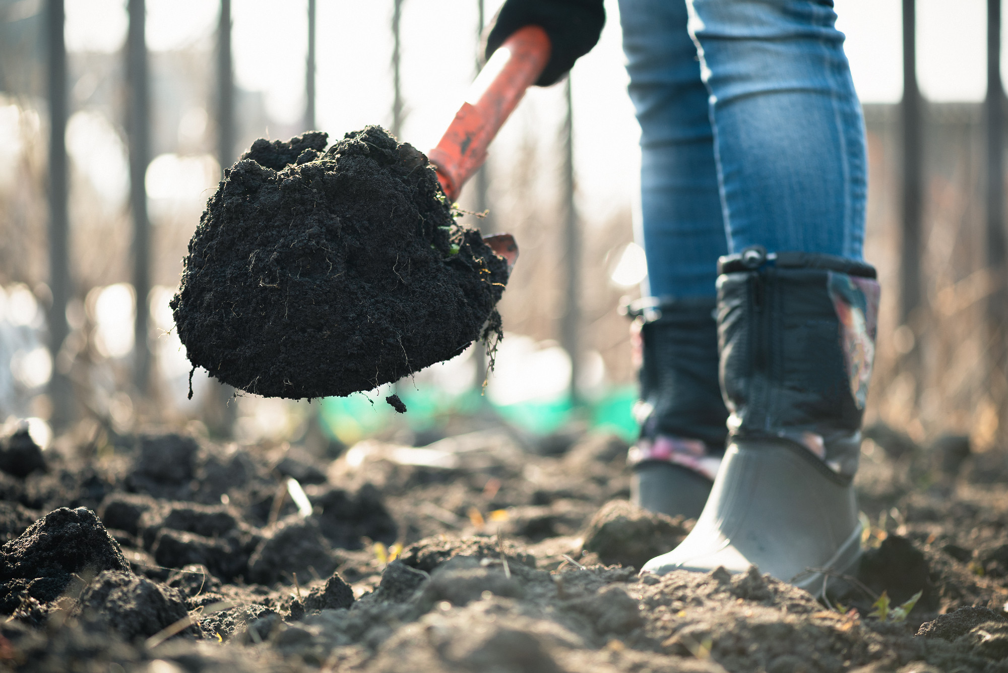 A talaj mint élő rendszer