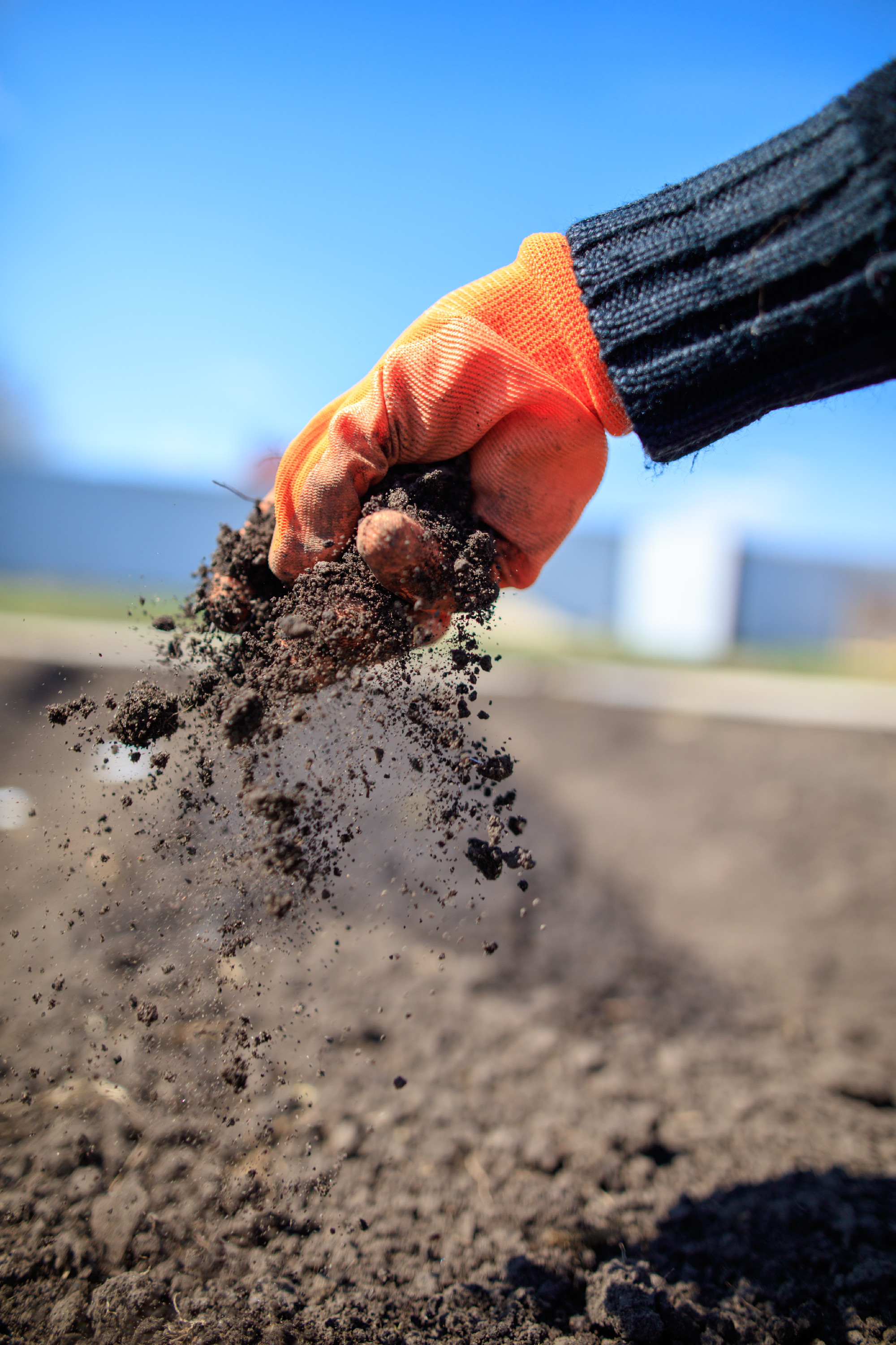 A talaj mint élő rendszer