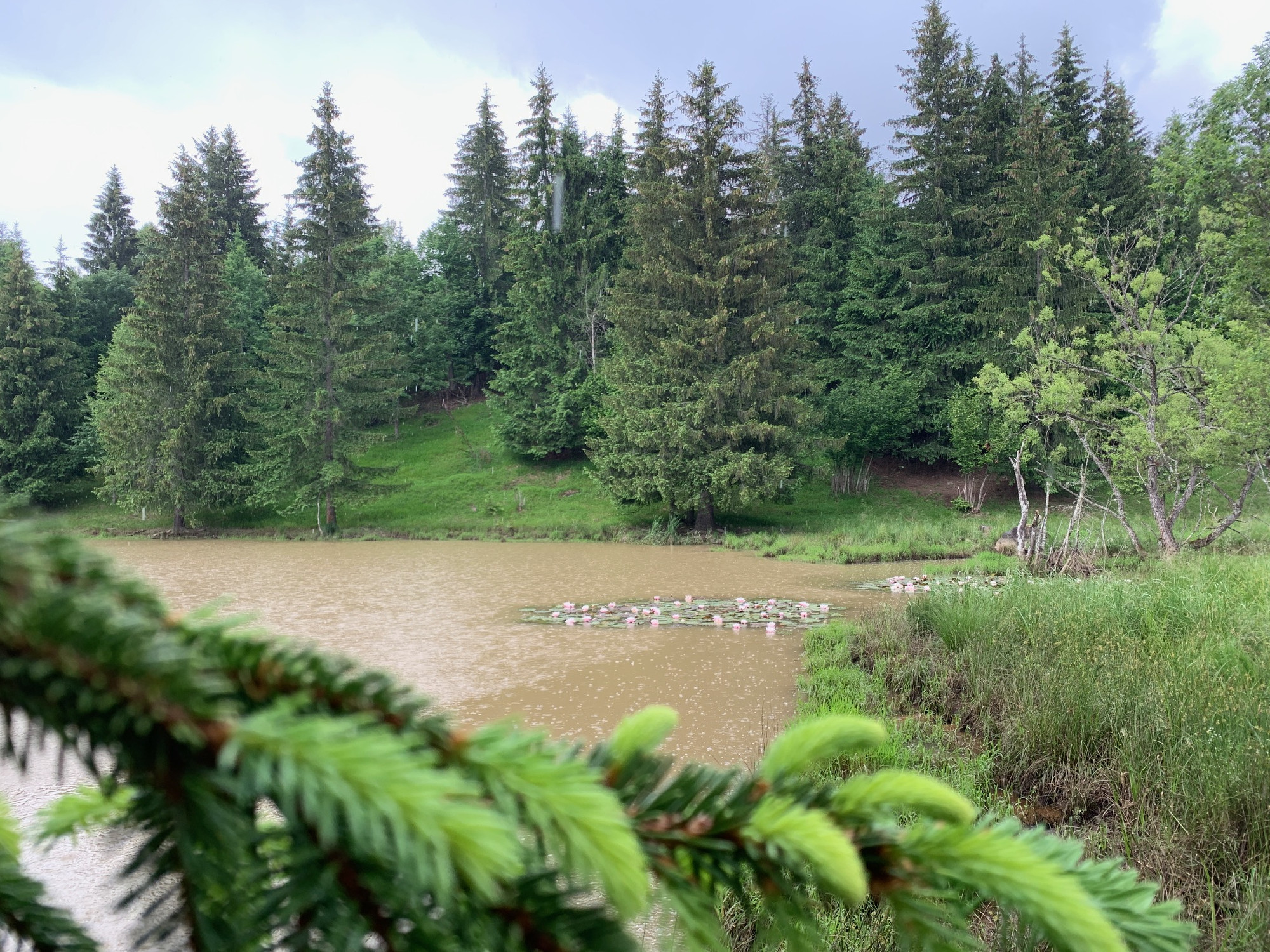 Csillagtúrák Székelyudvarhelyről