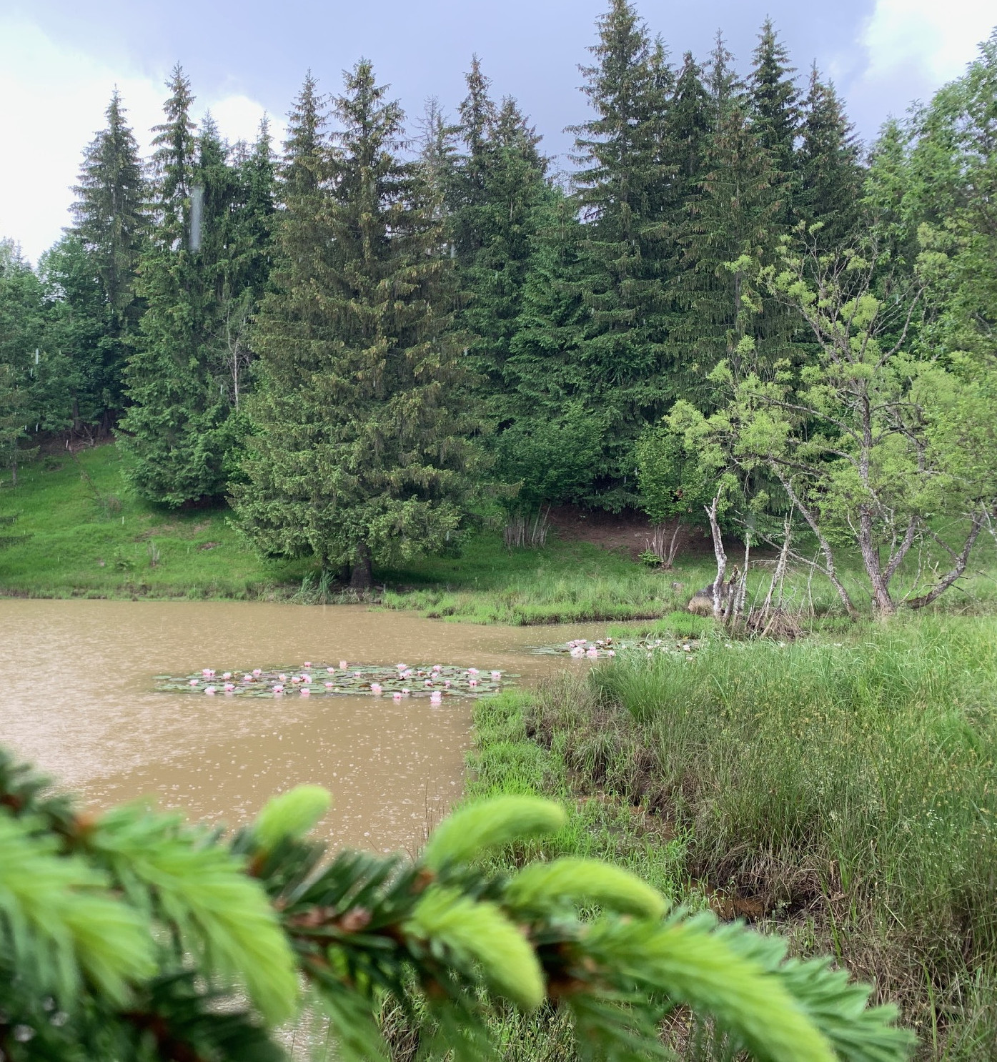 Csillagtúrák Székelyudvarhelyről