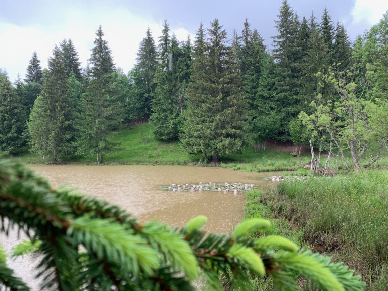 Csillagtúrák Székelyudvarhelyről