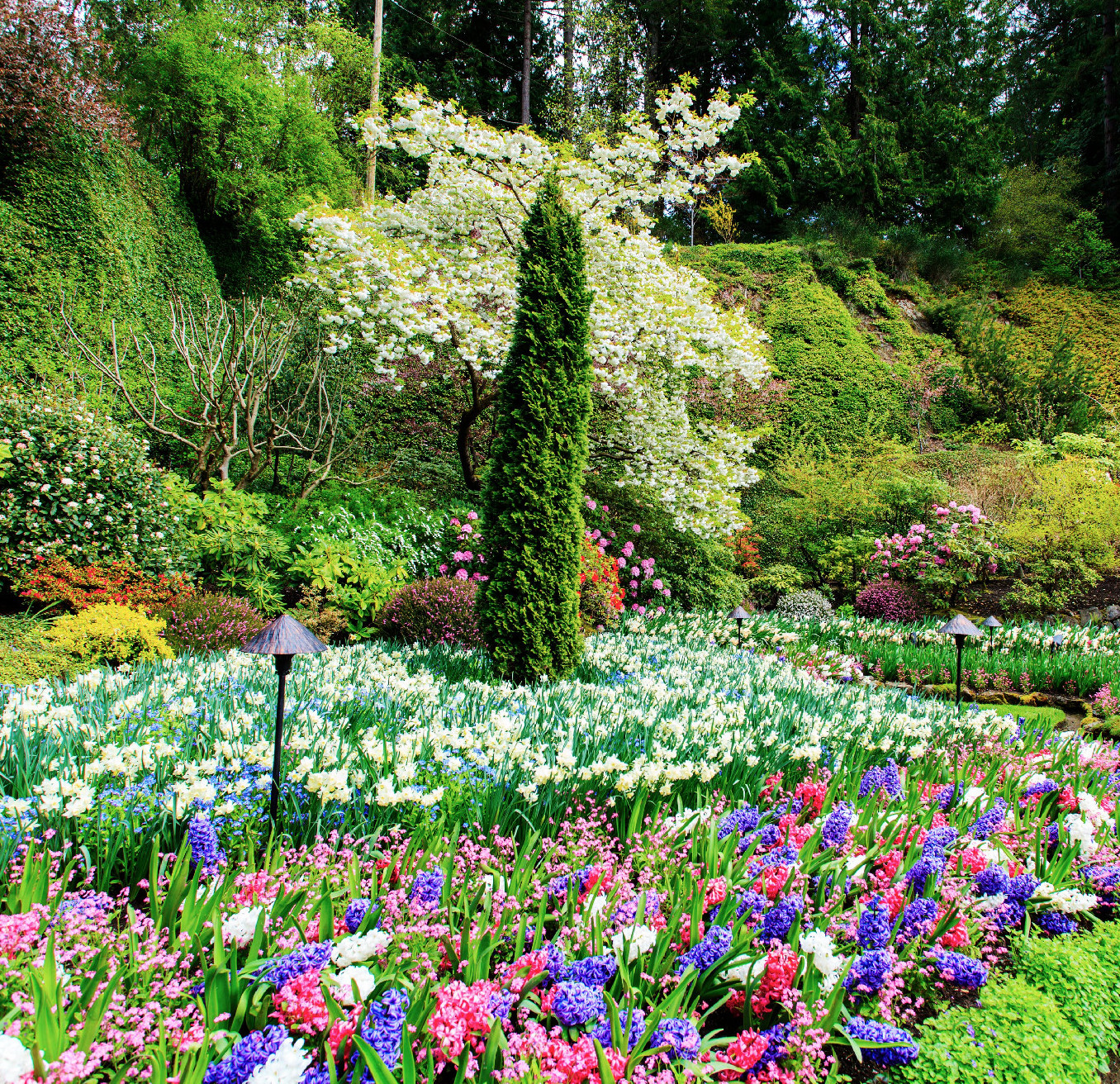 Történelmi kertek: The Butchart Gardens – Kanada