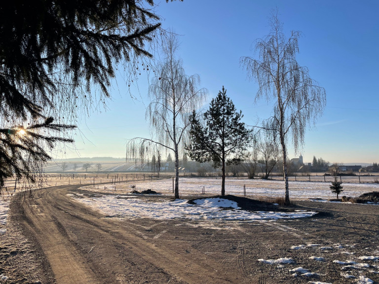 2027-ben Hargita megye lesz Európa Gasztronómiai régiója