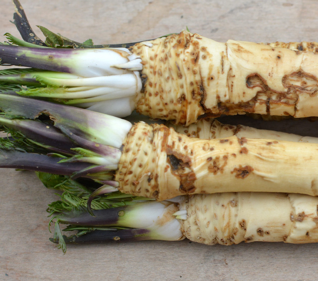 Tormatermesztés okosan