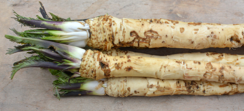 Tormatermesztés okosan