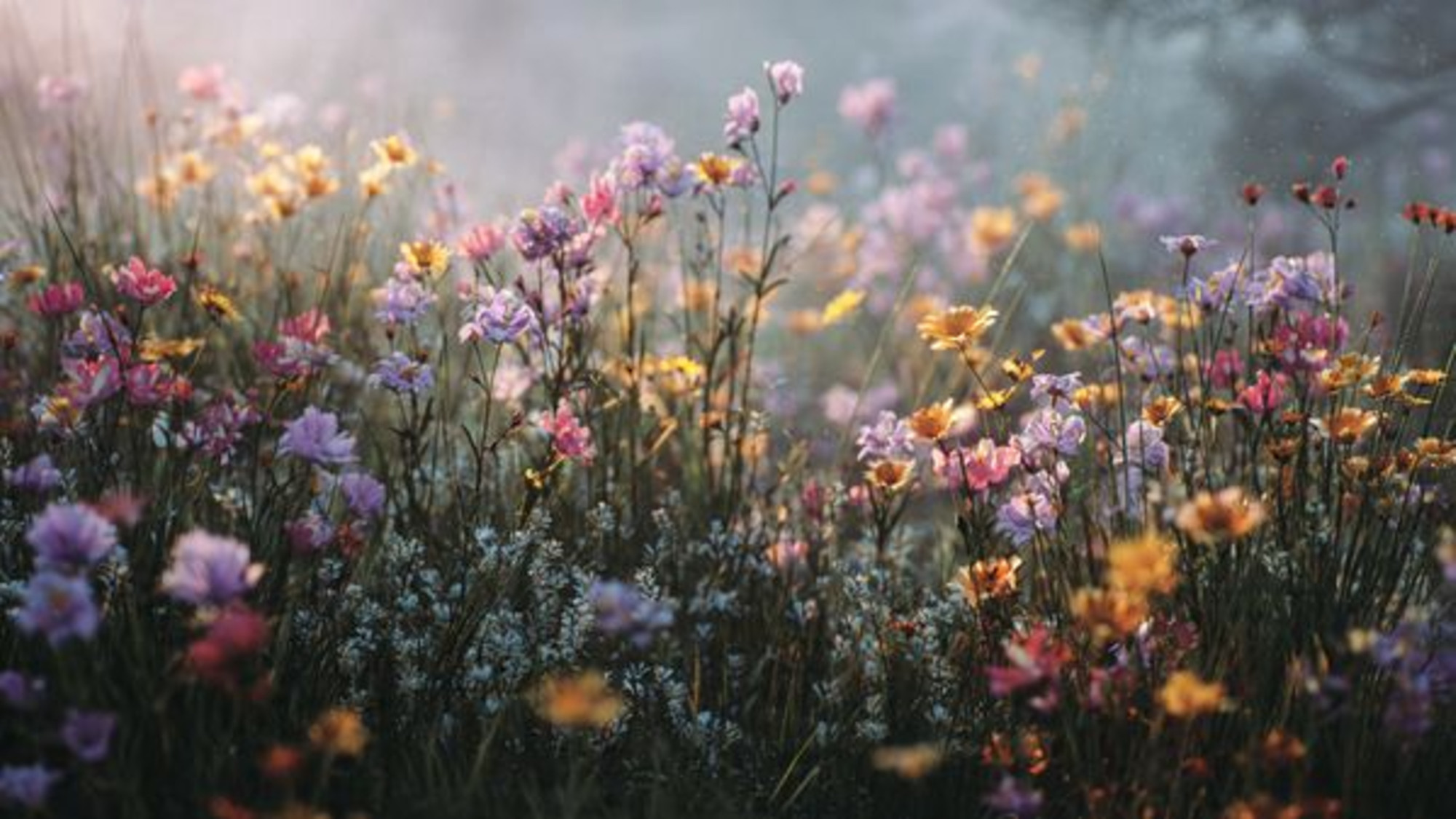 Mitől lesz könnyebb az életem?